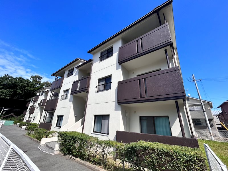 富雄サンパレスⅡ号館 その他外観2