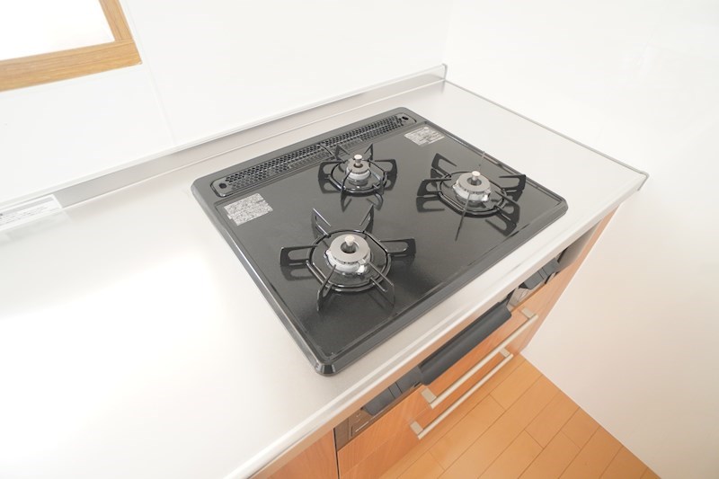 グランドパレス学園前 その他30