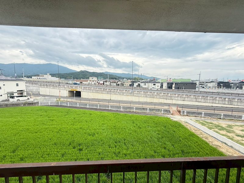 金屋戸建 その他5