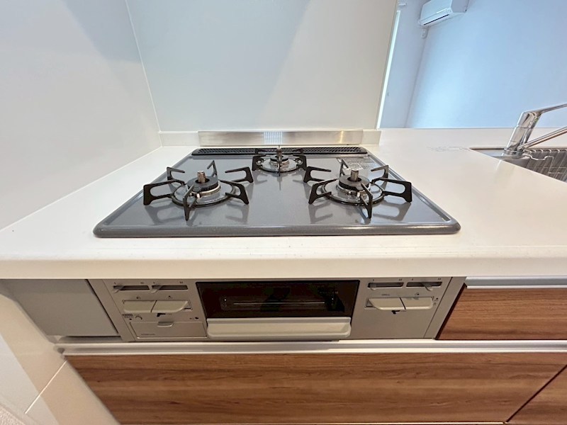 シャーメゾンレジデンス飛鳥 その他17