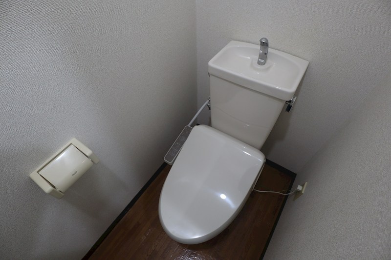 エミール指柳 その他1