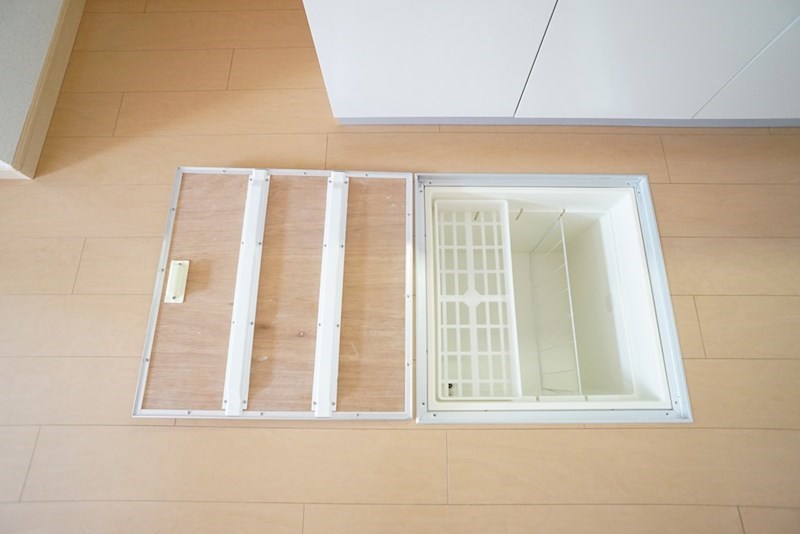 レイ・ミノール その他10