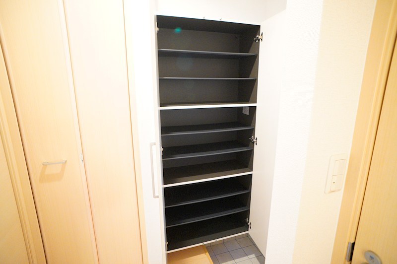 レイ・ミノール その他25