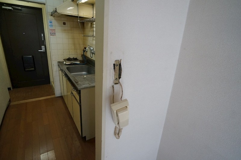 エクセレント河 その他4