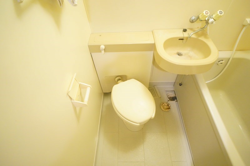 みつがらす その他1