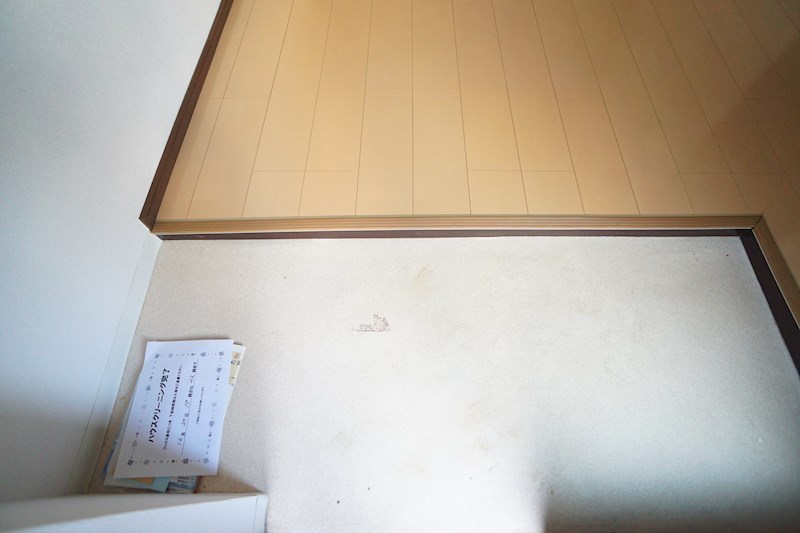 ツカモトハイツ 玄関