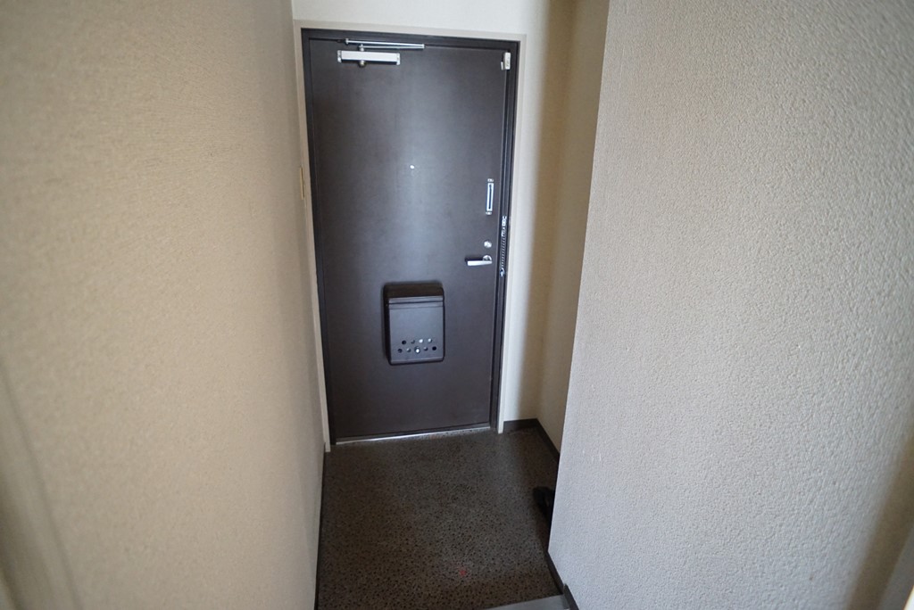 ハタハイツ 玄関