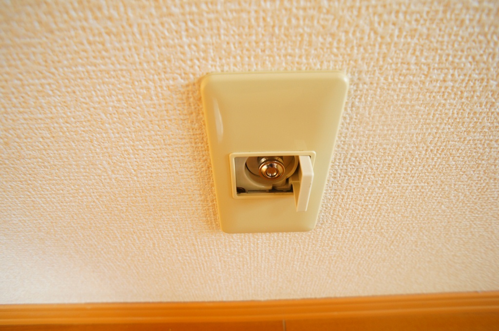 グリーンパークニレの木 その他8