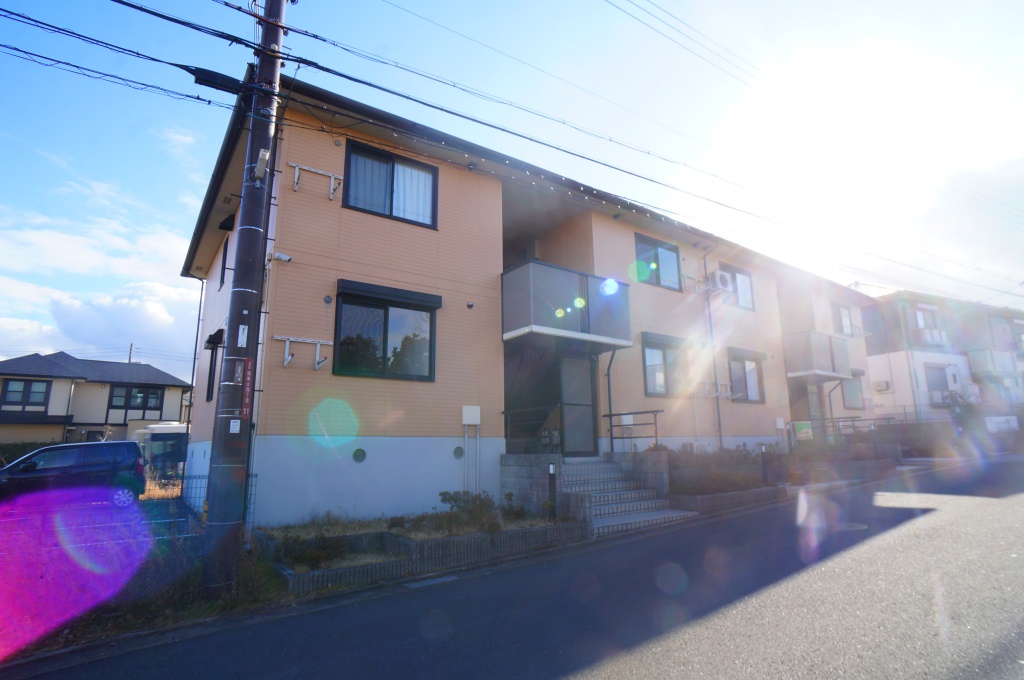 グリーンパークニレの木 その他23