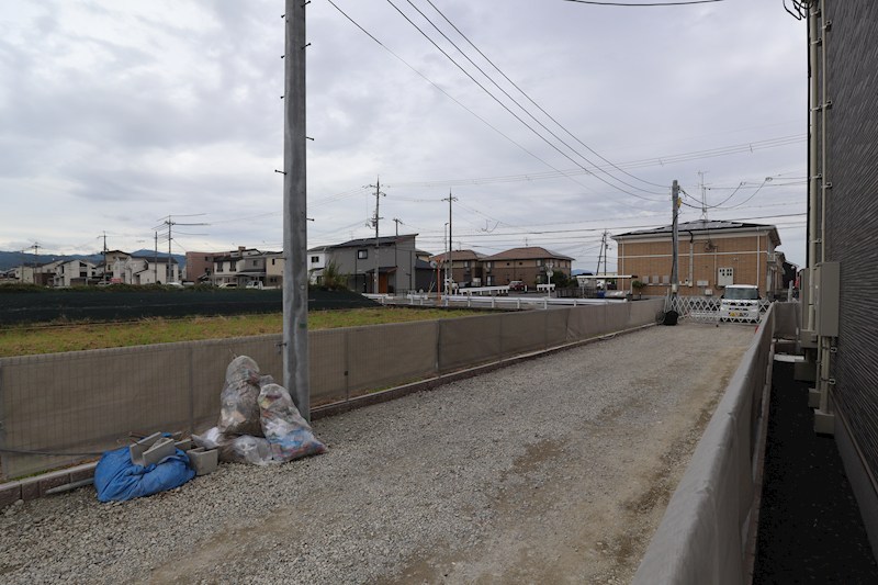 アプリコットⅣ（4） その他17