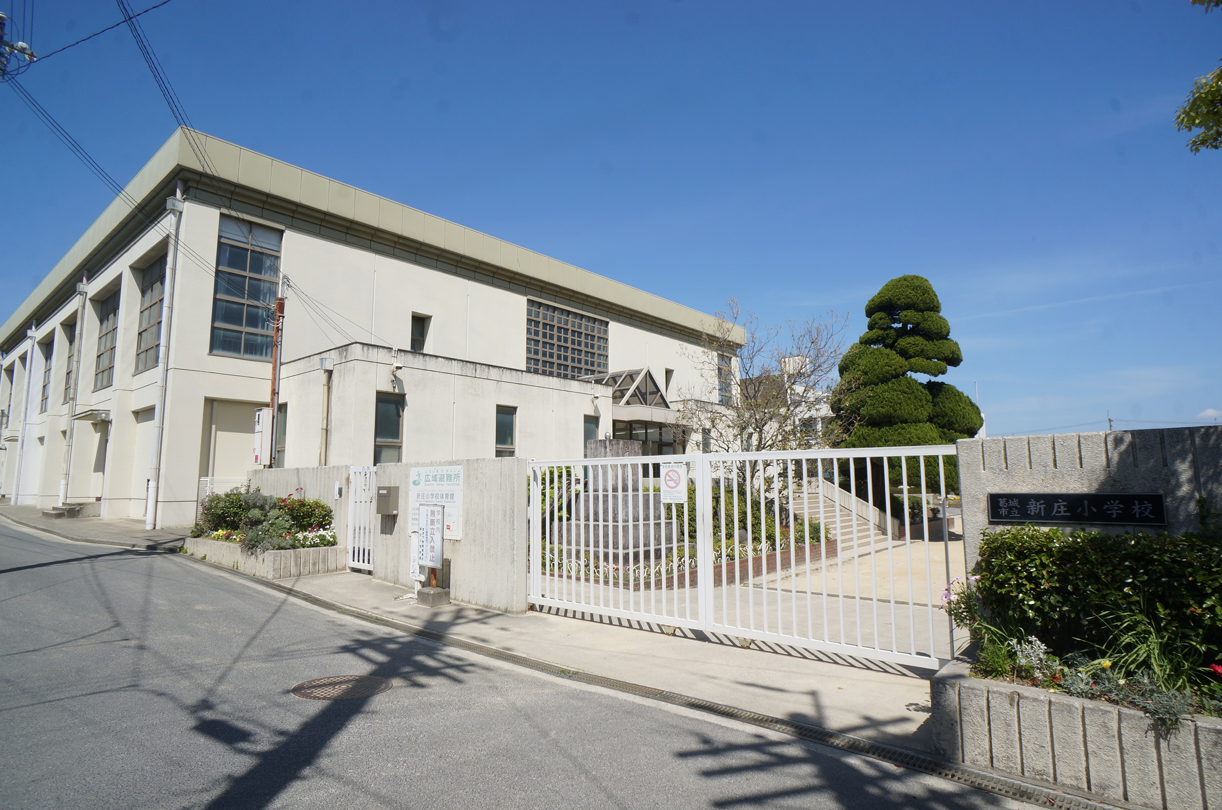 アルソレアＡ棟 周辺画像4