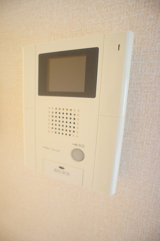 ハニー・コナ その他1