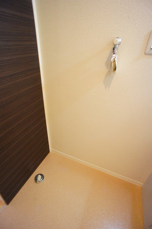 ハニー・コナ その他24