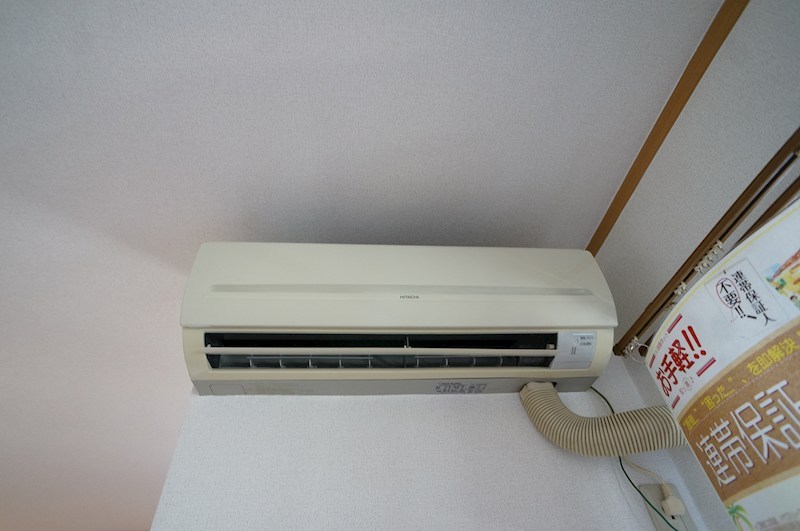 プリムロ－ズ その他4