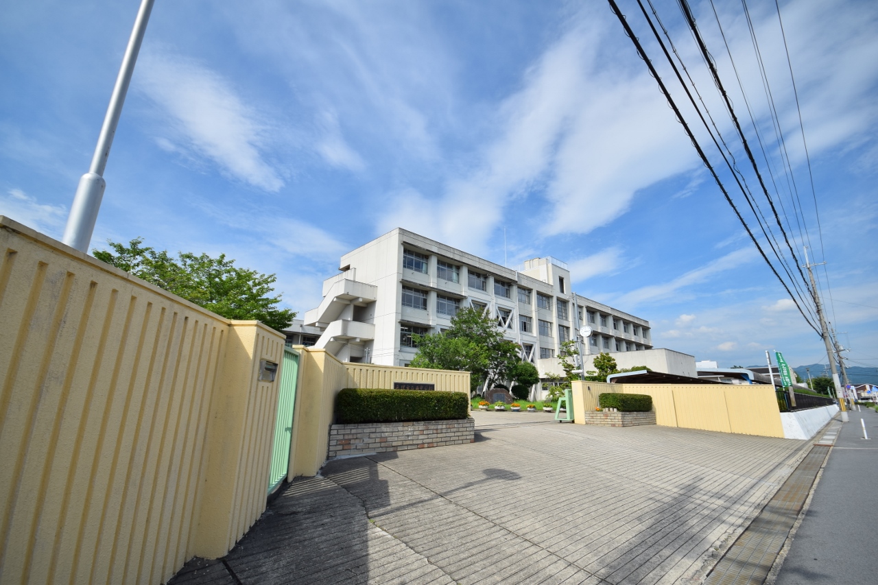 プラシード（大和郡山市） 周辺画像8