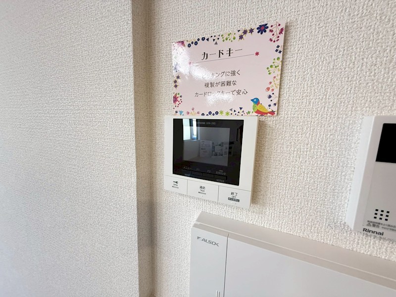 Daiya Soie（ダイヤ ソワ） その他4