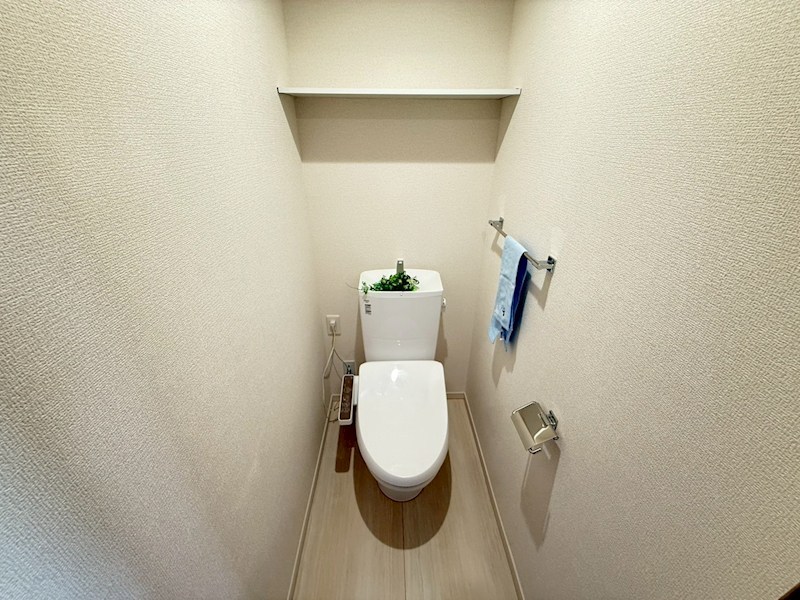 Daiya Soie（ダイヤ ソワ） その他1