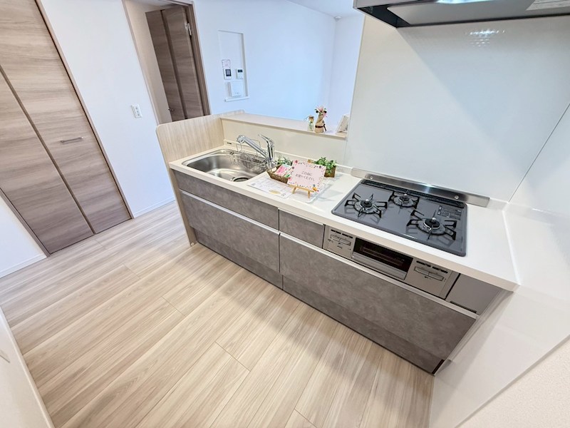 Daiya Soie（ダイヤ ソワ） その他20