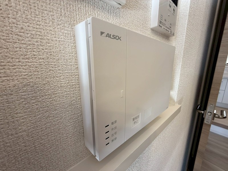 Daiya Soie（ダイヤ ソワ） その他15