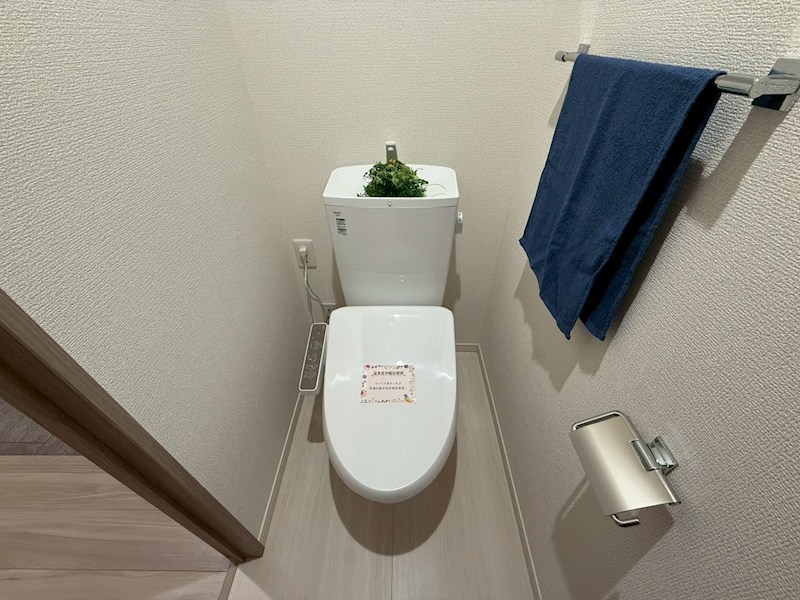 Daiya Soie（ダイヤ ソワ） その他40