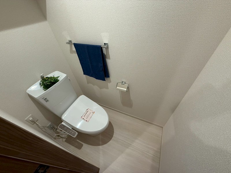 Daiya Soie（ダイヤ ソワ） その他1