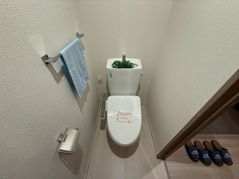 Daiya Soie（ダイヤ ソワ） その他36