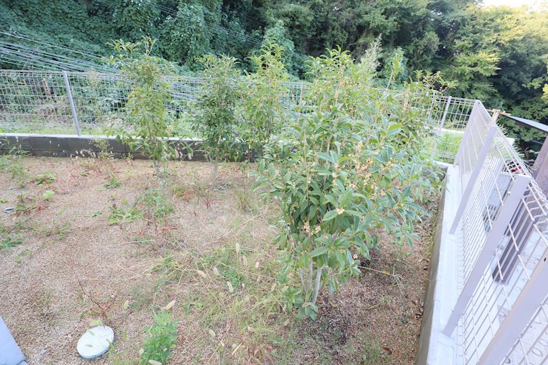 生駒市仲之町貸戸建住宅　1号棟 その他外観4