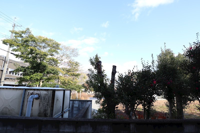 ソファレメゾネット その他33