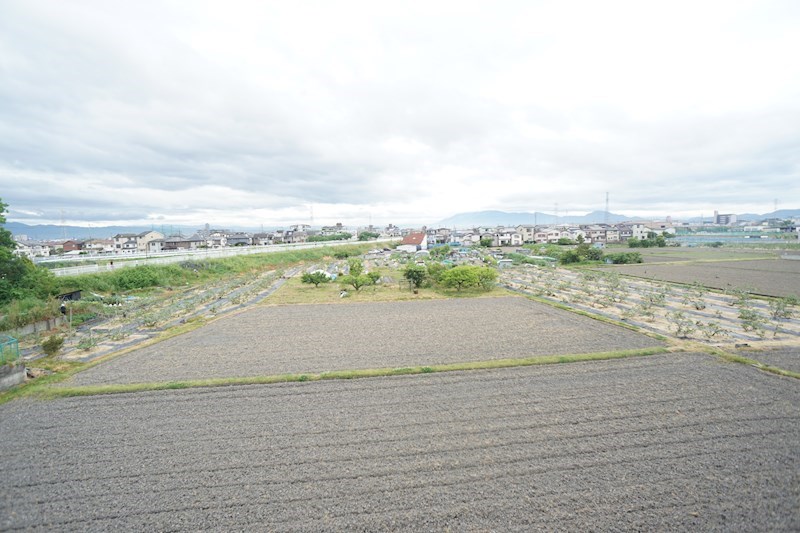 アスカ21大和小泉 その他14