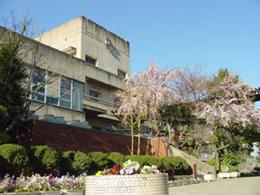 プルミエール代官町（ダイカンチョウ） 周辺画像7