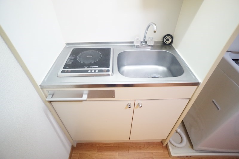 レオパレスルピナス・2 その他18