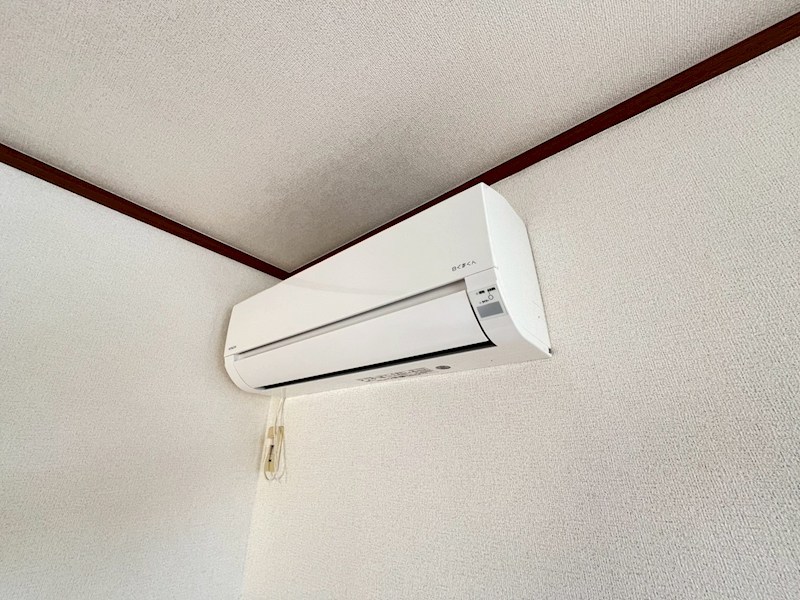 パルティーレ その他5