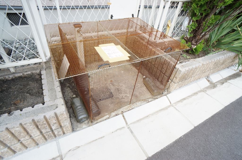 カサベルデ学園前 その他14