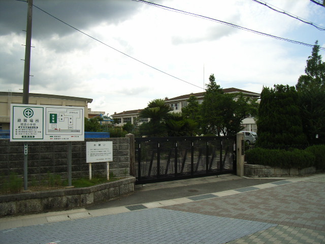 ヴェルメゾンⅡ号館 周辺画像6