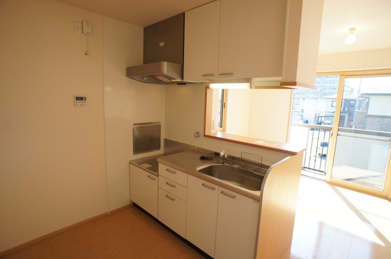 カクタス　フローラ その他6