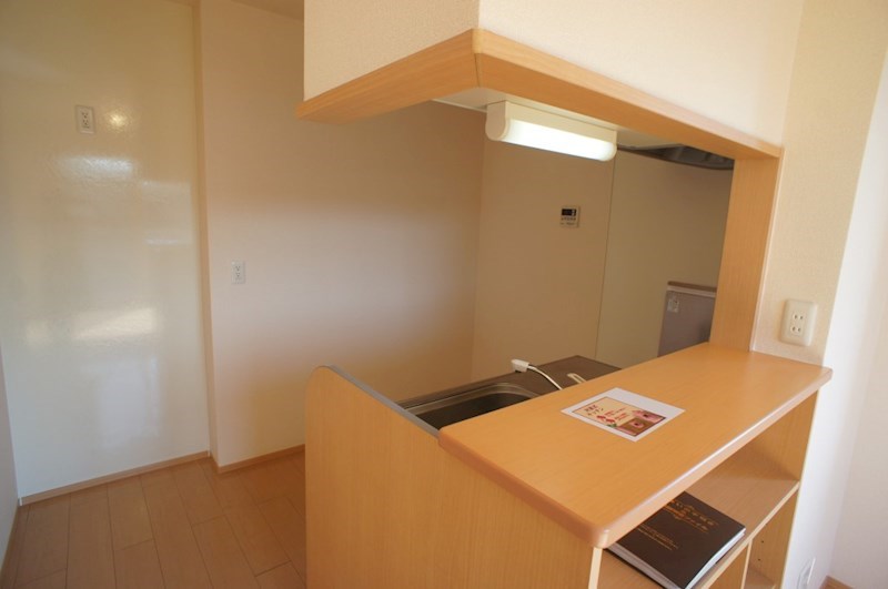 カクタス　フローラ その他11