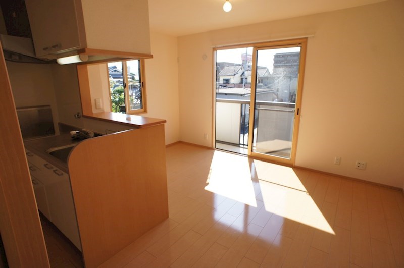 カクタス　フローラ その他12