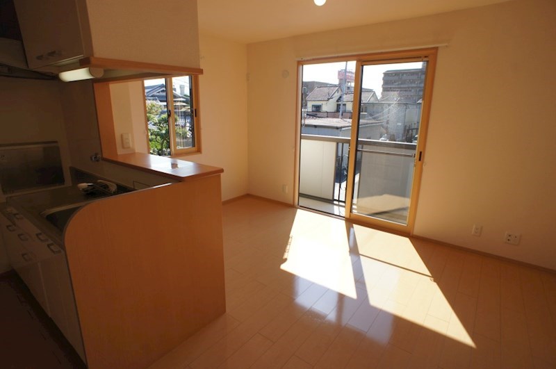 カクタス　フローラ その他13