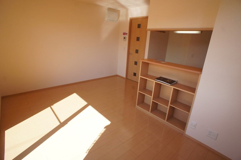 カクタス　フローラ その他15