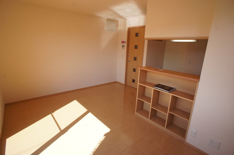 カクタス　フローラ その他17