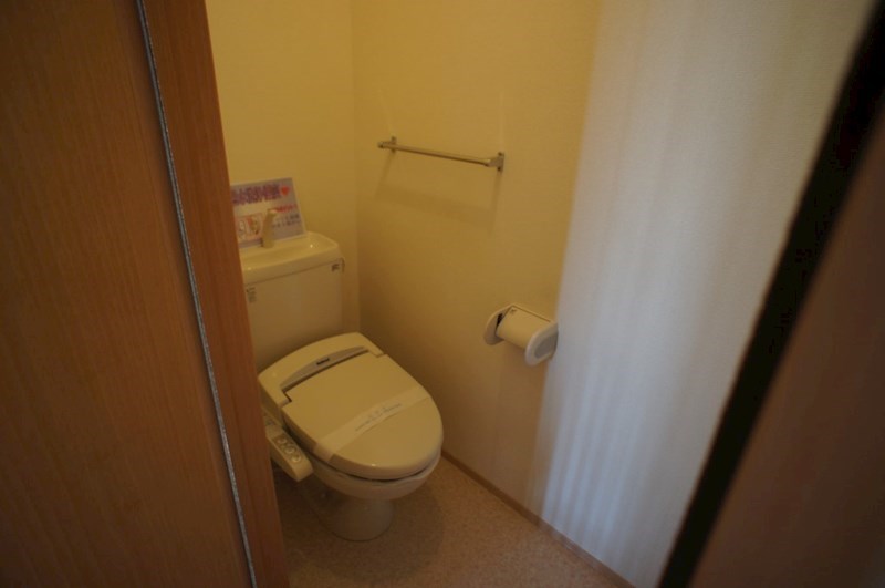 カクタス　フローラ その他18