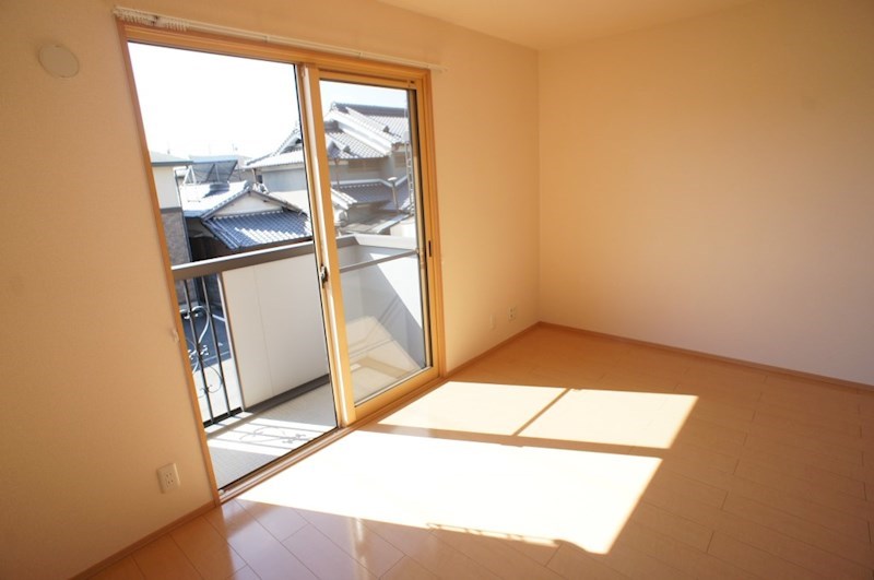 カクタス　フローラ その他19