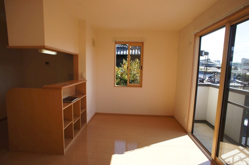 カクタス　フローラ その他24