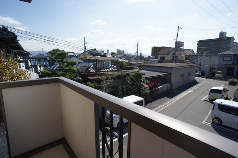 カクタス　フローラ その他26