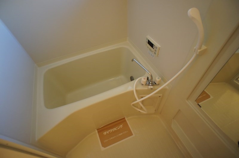 カクタス　フローラ その他40