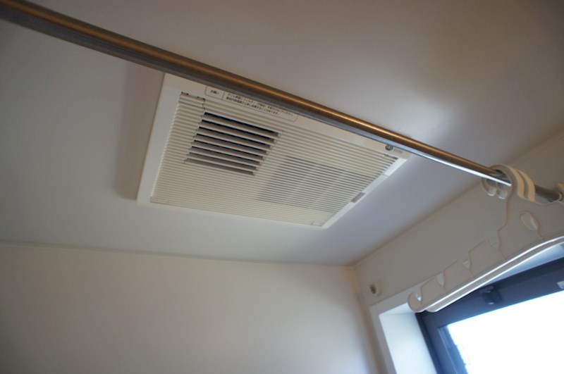 カクタス　フローラ その他42