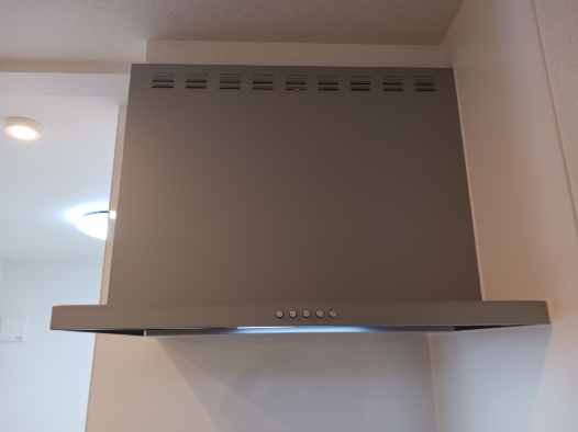 ヴェルデ　ルーチェ その他2