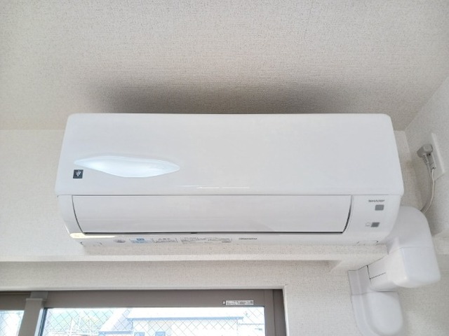 ヴェルデ　ルーチェ その他4