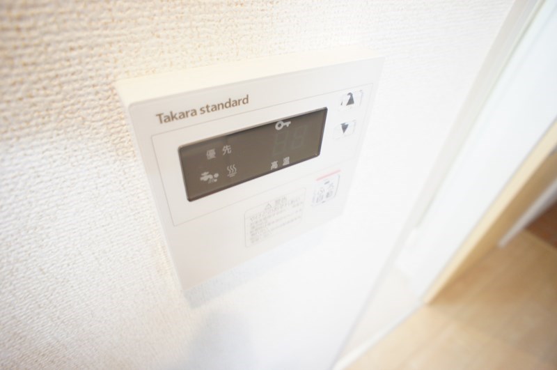 イリーデⅠ その他17