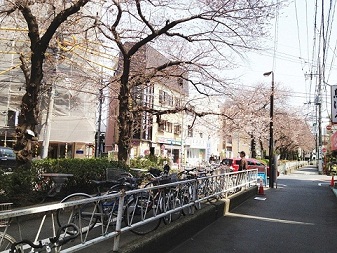 セザールミキ 周辺画像5